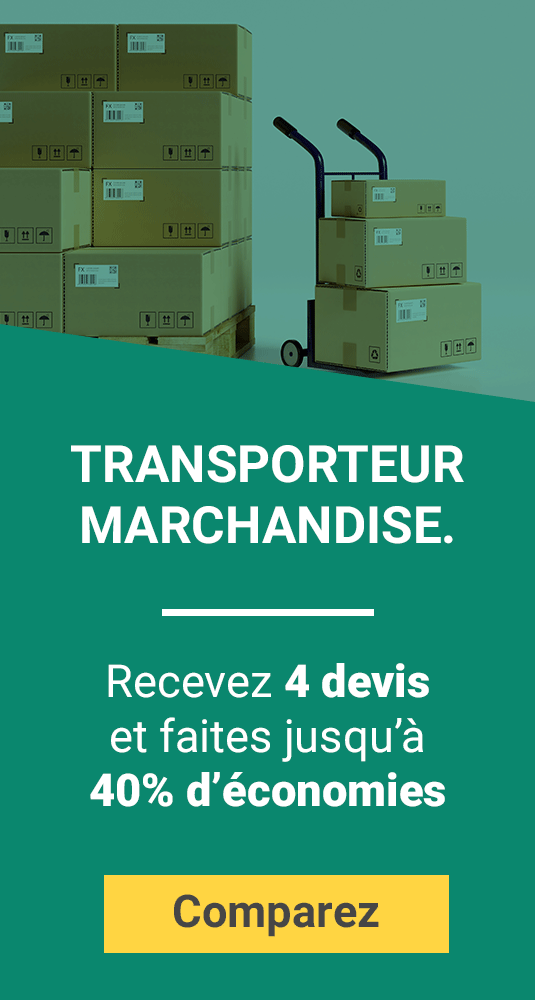 Transporteur_Marchandise